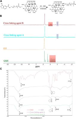 Double cross-linked graphene oxide hydrogel for promoting healing of diabetic ulcers